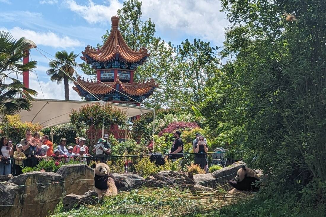 Visiter le Zoo de Beauval en famille