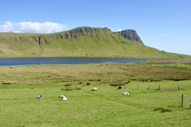 Road-trip en Écosse en famille : découvrez notre itinéraire dans les Highlands !