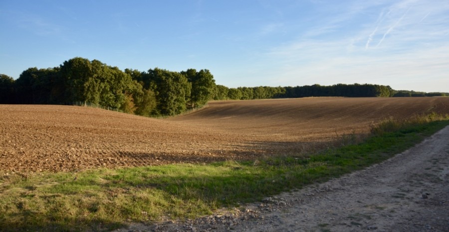 blog-de-voyage-campagne-beauce-voyage-en-famille-nature-champs-champs-de-ble-voyage-et-enfantthumb_dsc_0522_1024