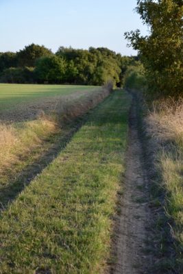 campagne-beauce