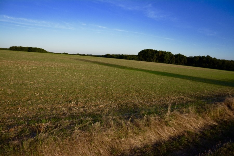 blog-de-voyage-campagne-beauce-voyage-en-famille-nature-champs-champs-de-ble-voyage-et-enfantthumb_dsc_0535_1024