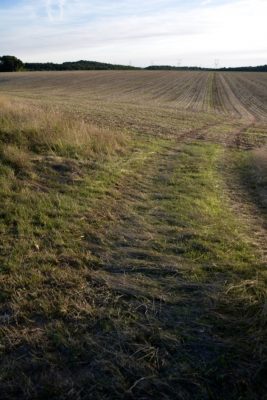 campagne-beauce