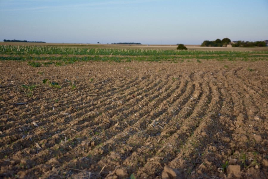 blog-de-voyage-campagne-beauce-voyage-en-famille-nature-champs-champs-de-ble-voyage-et-enfantthumb_dsc_0542_1024