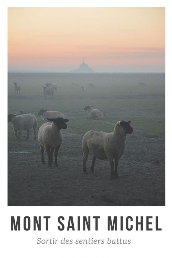 Admirer le Mont Saint Michel en famille Blog voyage famille Parents-voyageurs-Blog & podcast