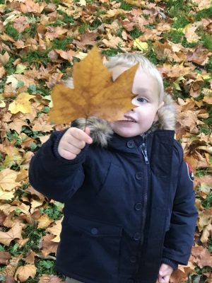 parc de jeux, sortie en famille montessori en voyage