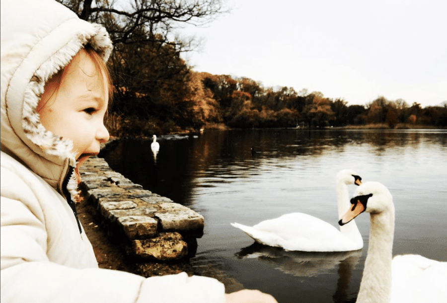 voyage à new-york en famille, new-york avec des enfants 