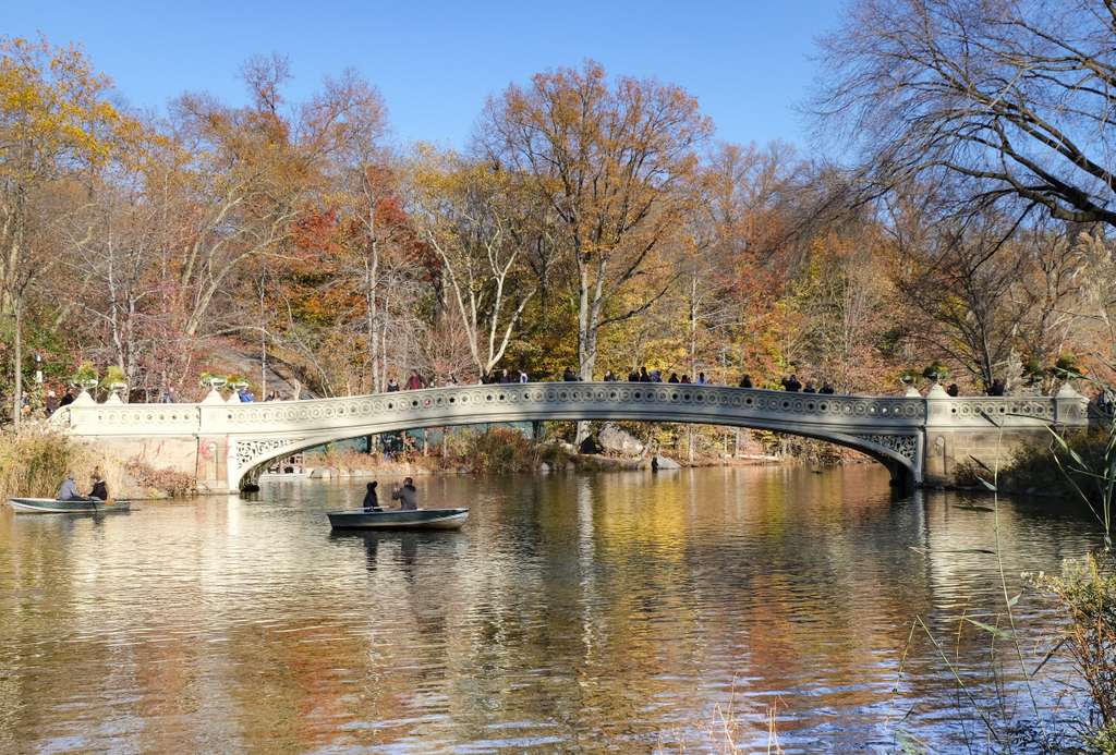 voyage à new-york en famille, new-york avec des enfants 