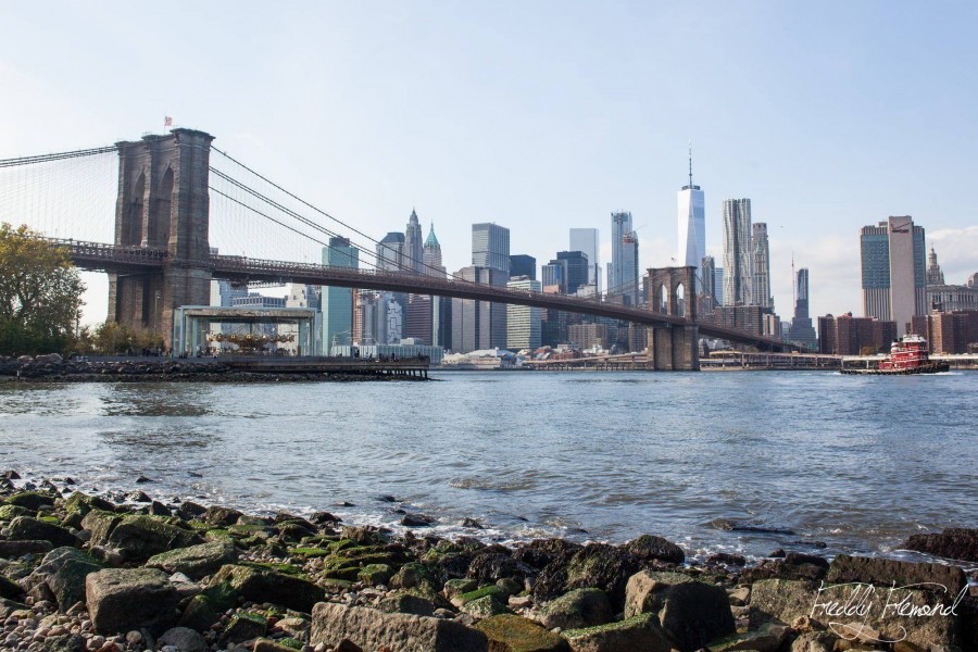 voyage à new-york en famille, new-york avec des enfants 