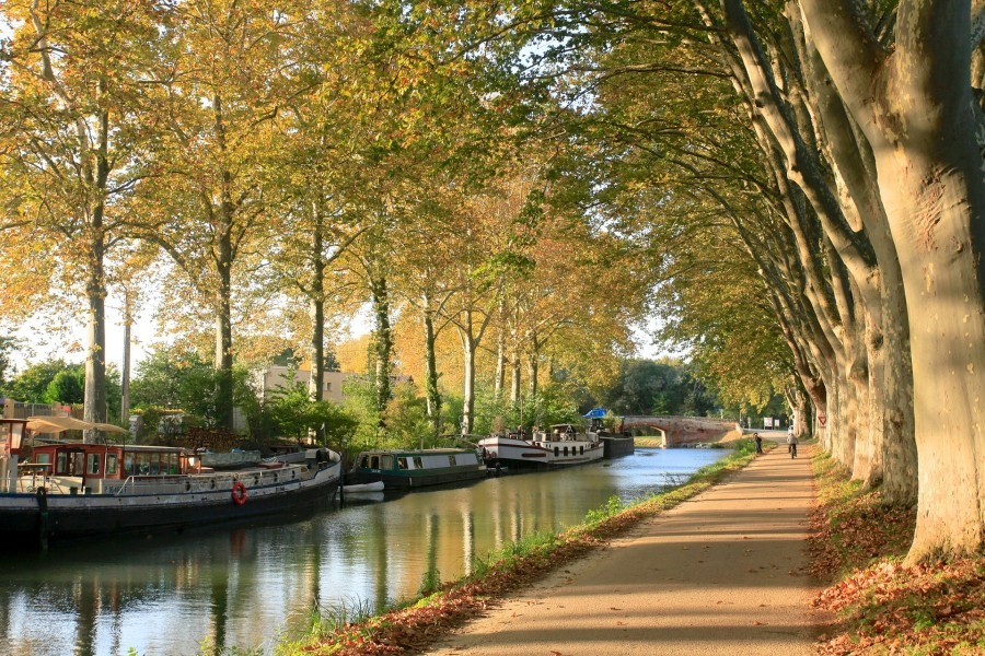 visiter toulouse avec des enfants