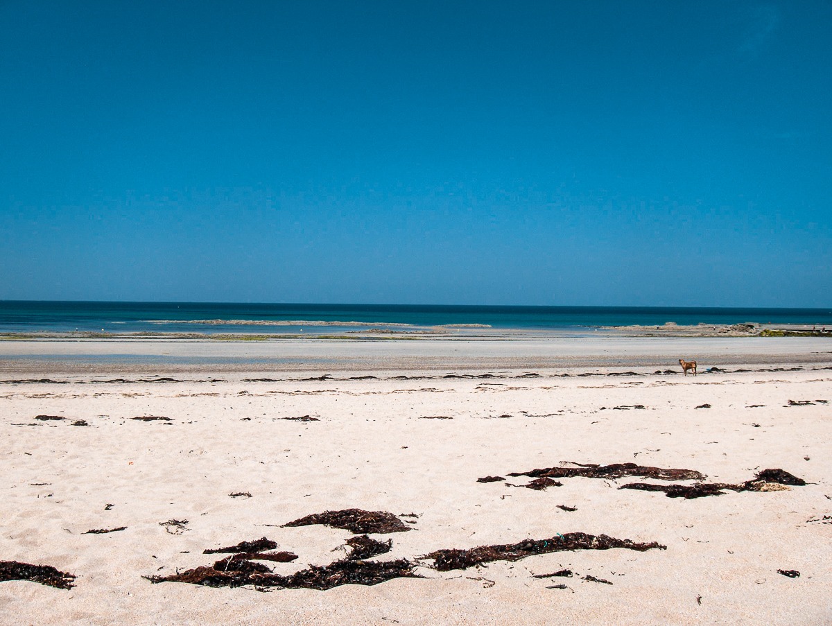 plage de Donville-les-Bains normandie