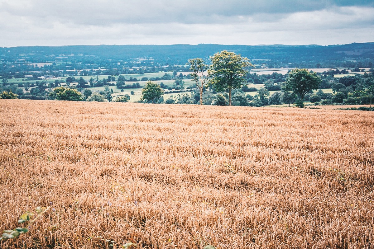 le bocage normand