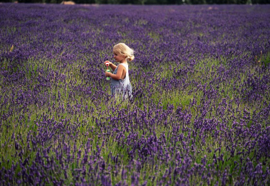 enfant dans les champs de lavande en espagne