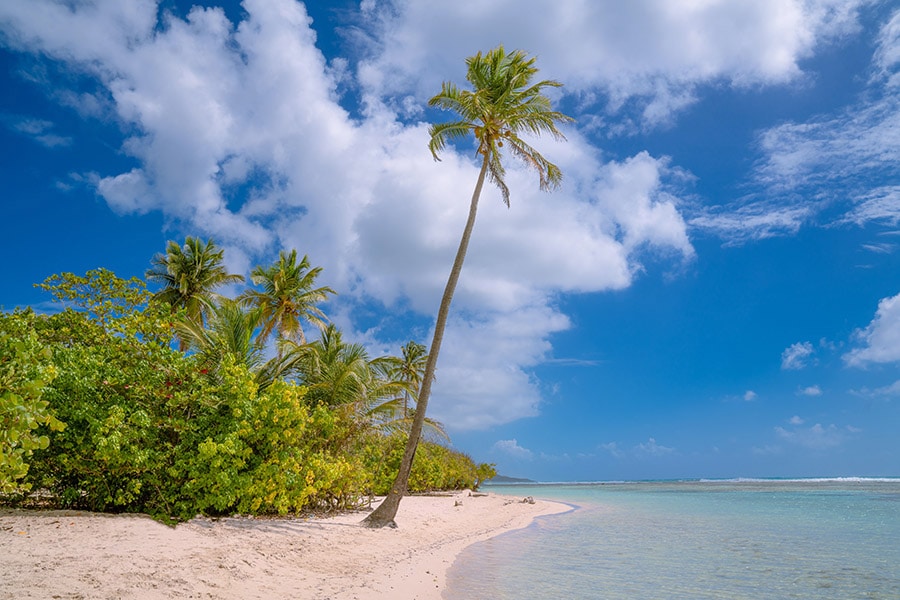 Visiter la guadeloupe en famille - plus belle plage