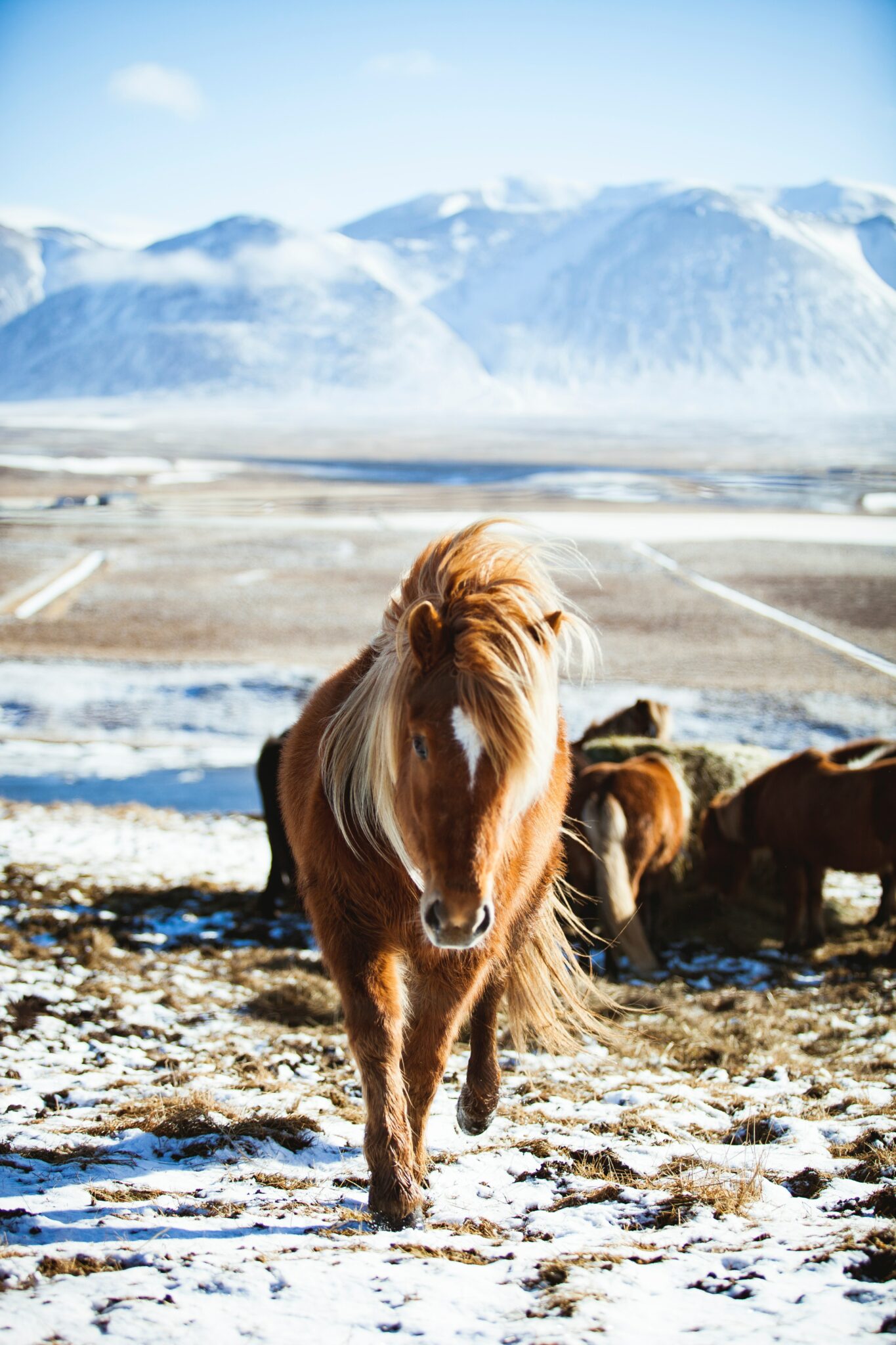 Organiser séjour Islande