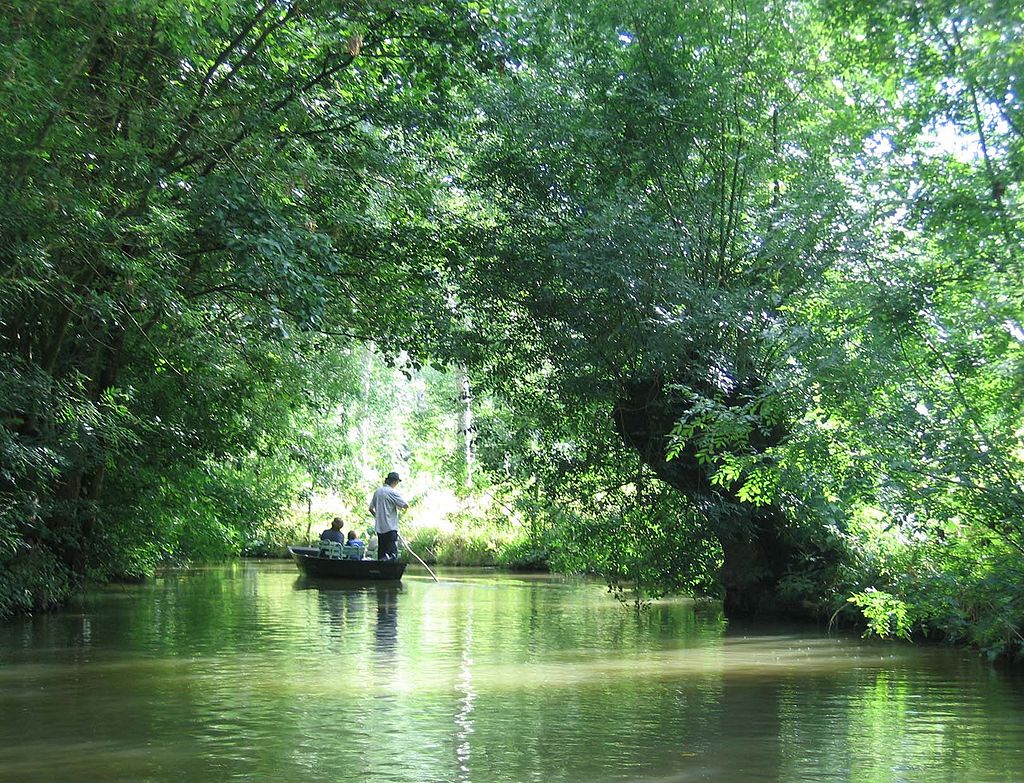 Charente-Maritime en famille - Venise Verte