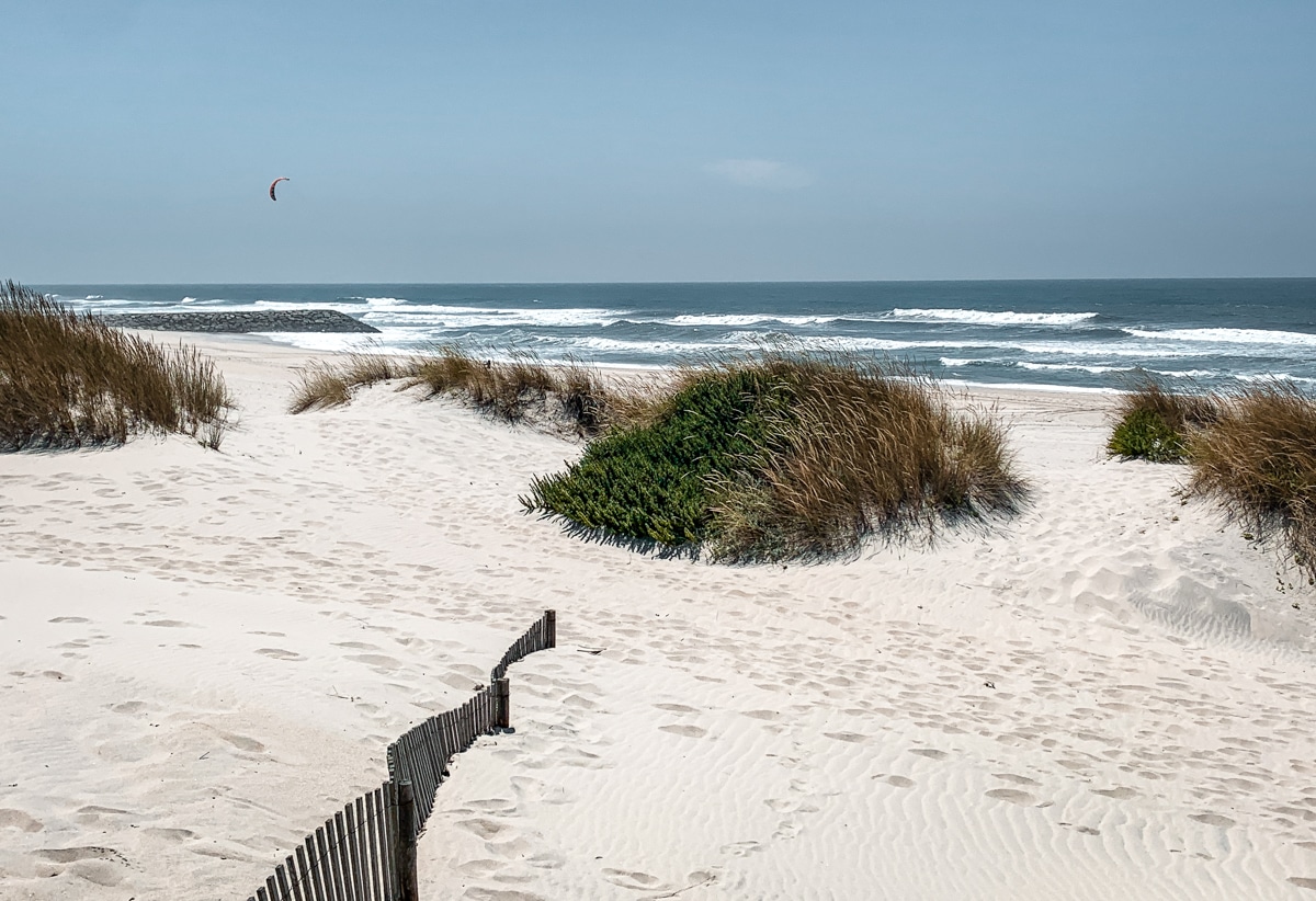 que faire à aveiro avec des enfants au Portugal