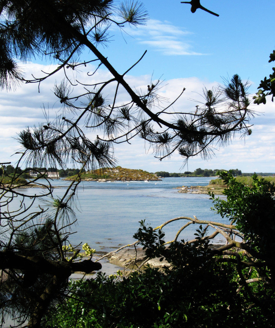 Carnac en famille - Ria d'Etel_2