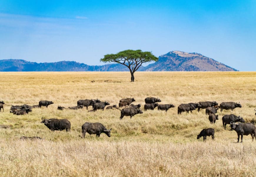 En Afrique de l'Est avec un bébé