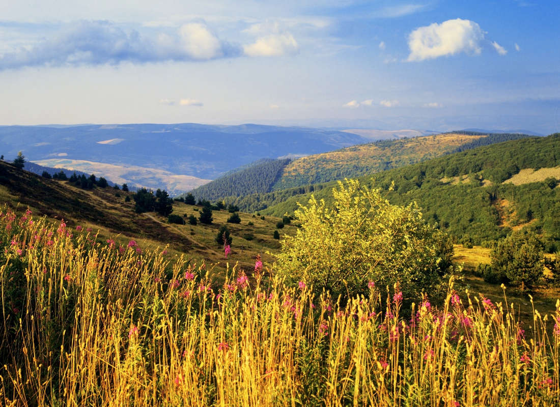 parc des cévènnes languedoc