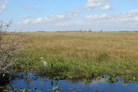 Road-trip en Floride en famille