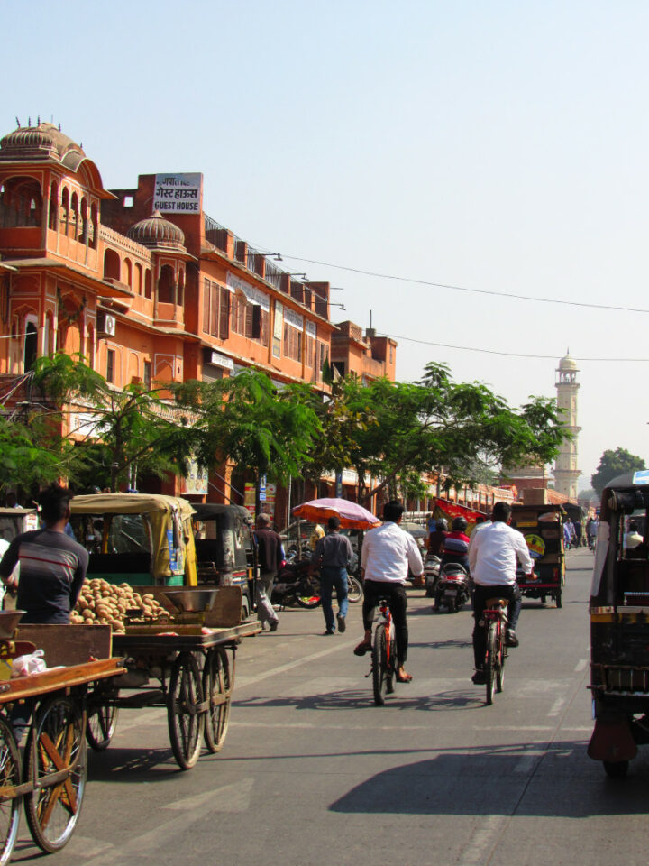 Pourquoi l'Inde en famille est un voyage qui fait peur ?