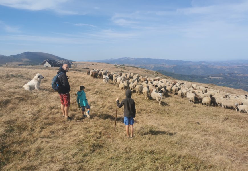 Changer de métier après un tour du monde en famille