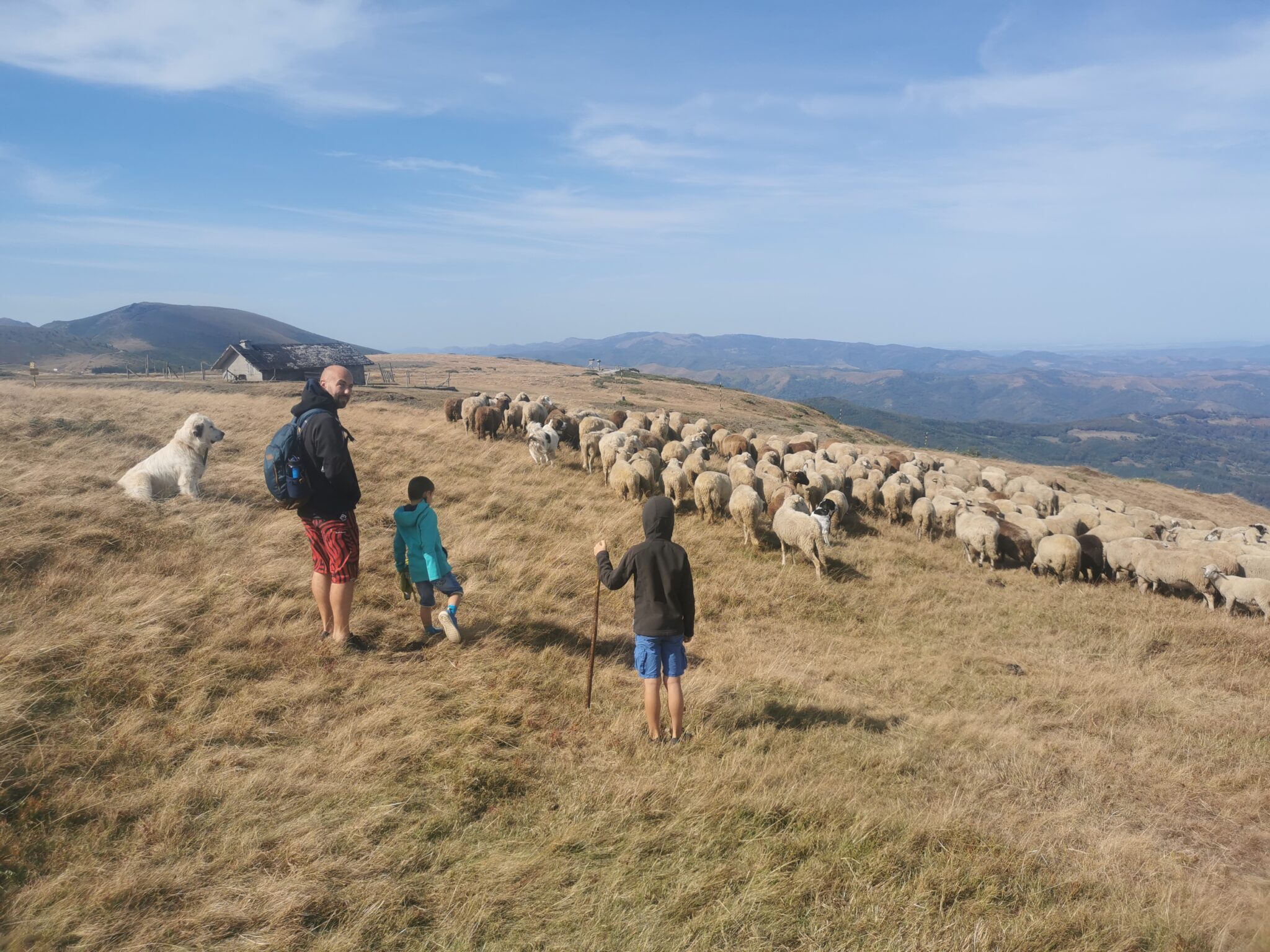 Changer de métier après un tour du monde en famille