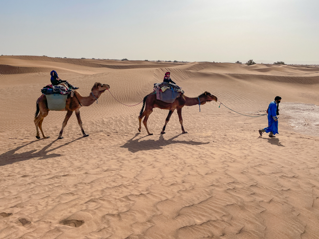 trek desert marocain en famille