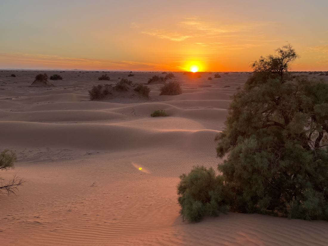 coucher du soleil dans le désert
