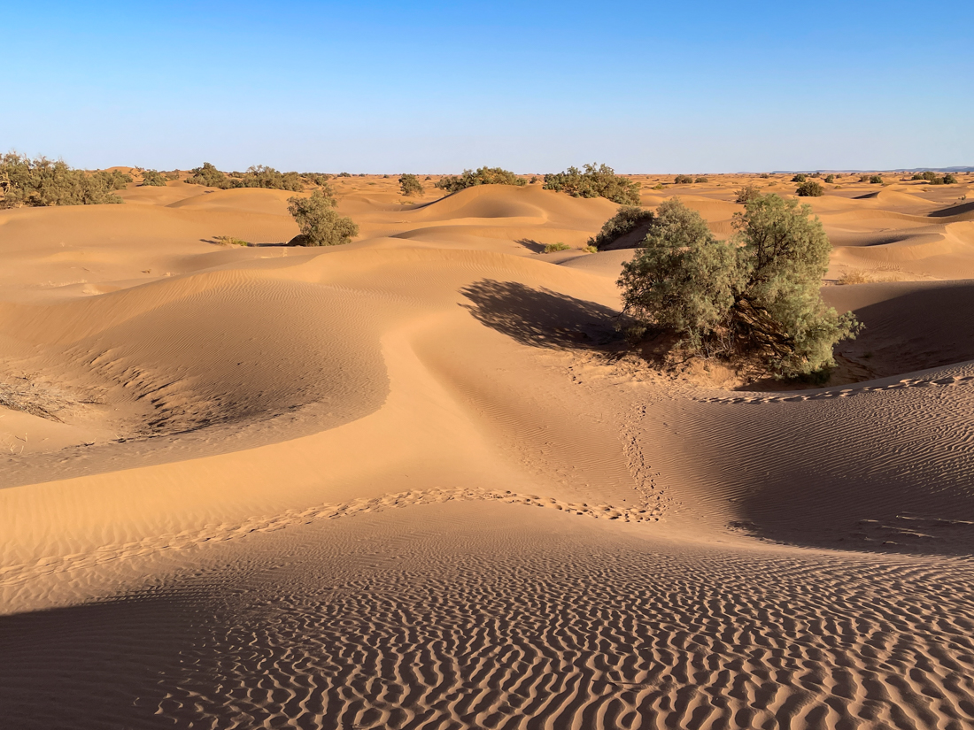 trek desert marocain en famille