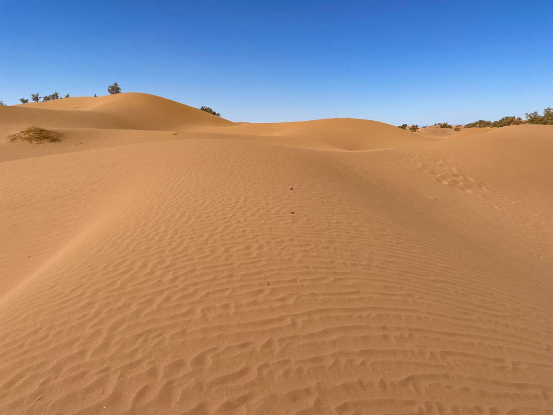 trek desert marocain en famille