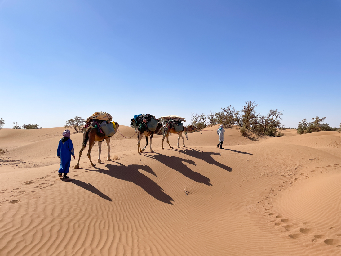 trek desert marocain en famille