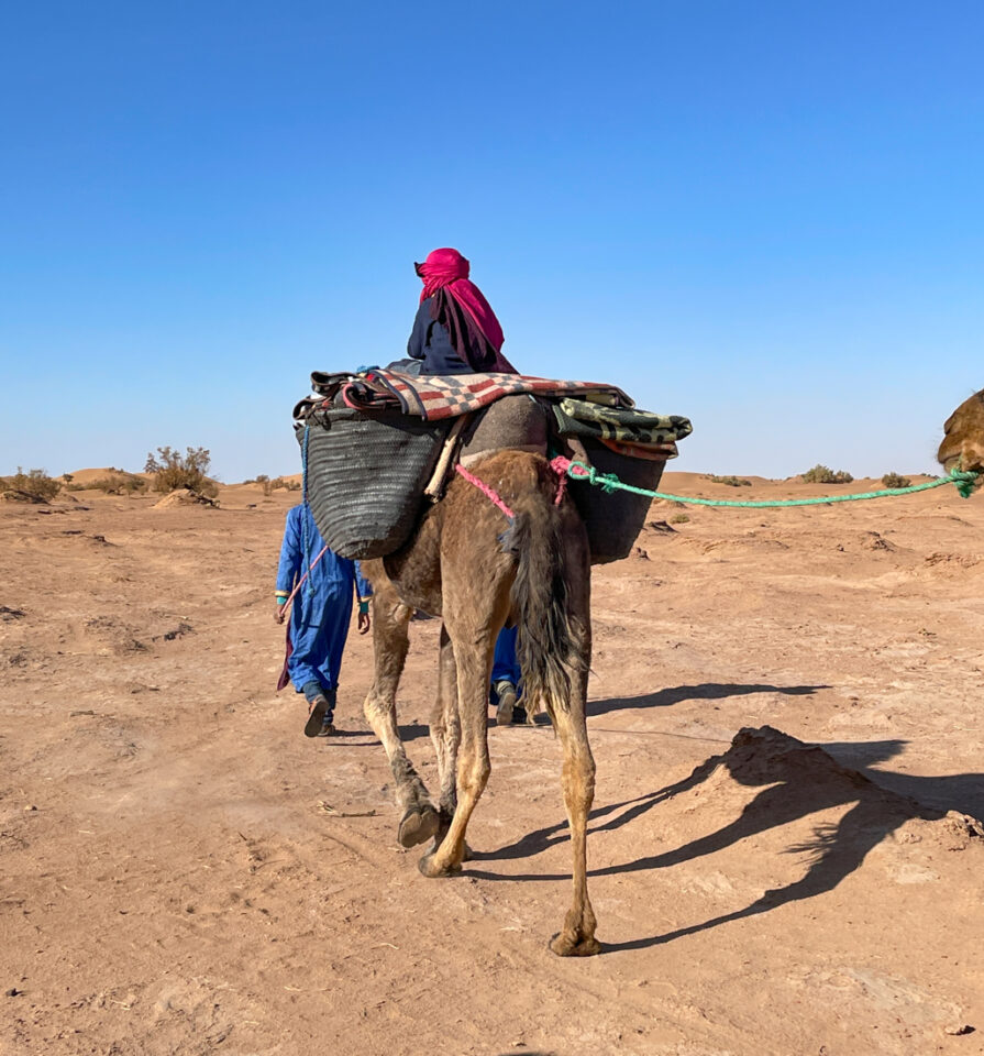 trek desert marocain en famille