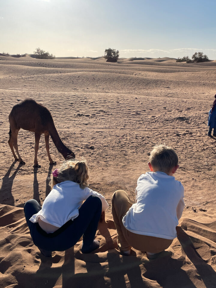 les enfants dans le désert