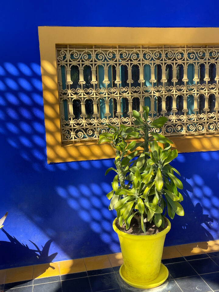 Jardin de Majorelle en famille