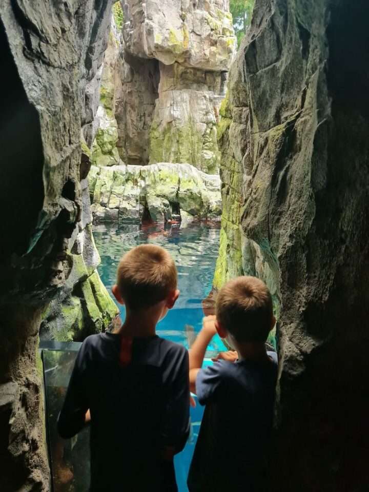 aquarium lisbonne avec les enfants