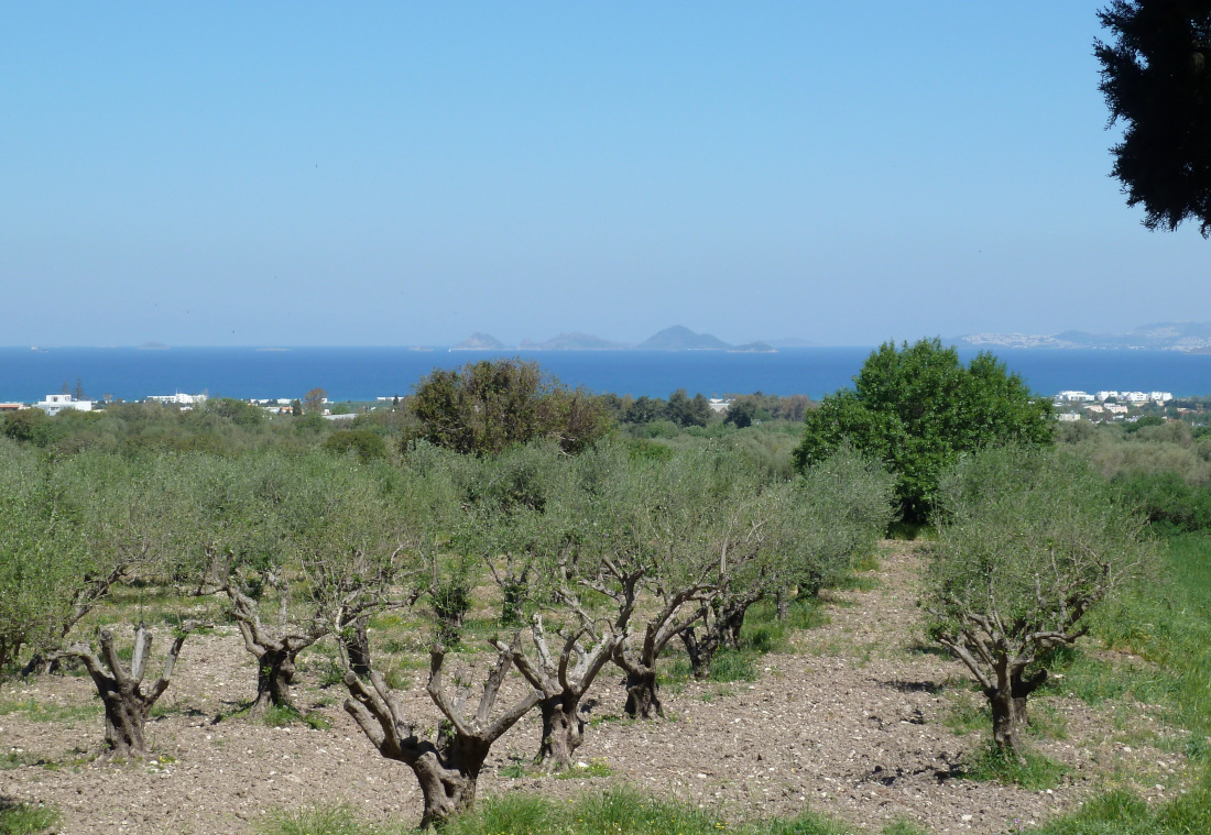 quelle île grecque choisir en famille - Kos