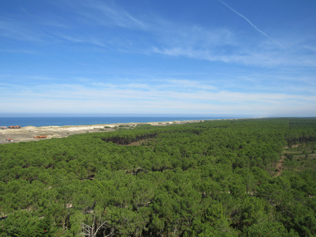 le Sud des Landes en famille