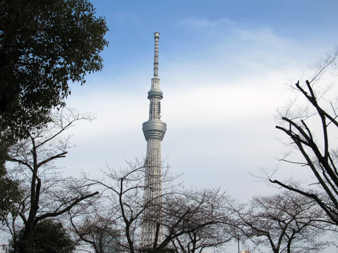 Visiter Tokyo en famille