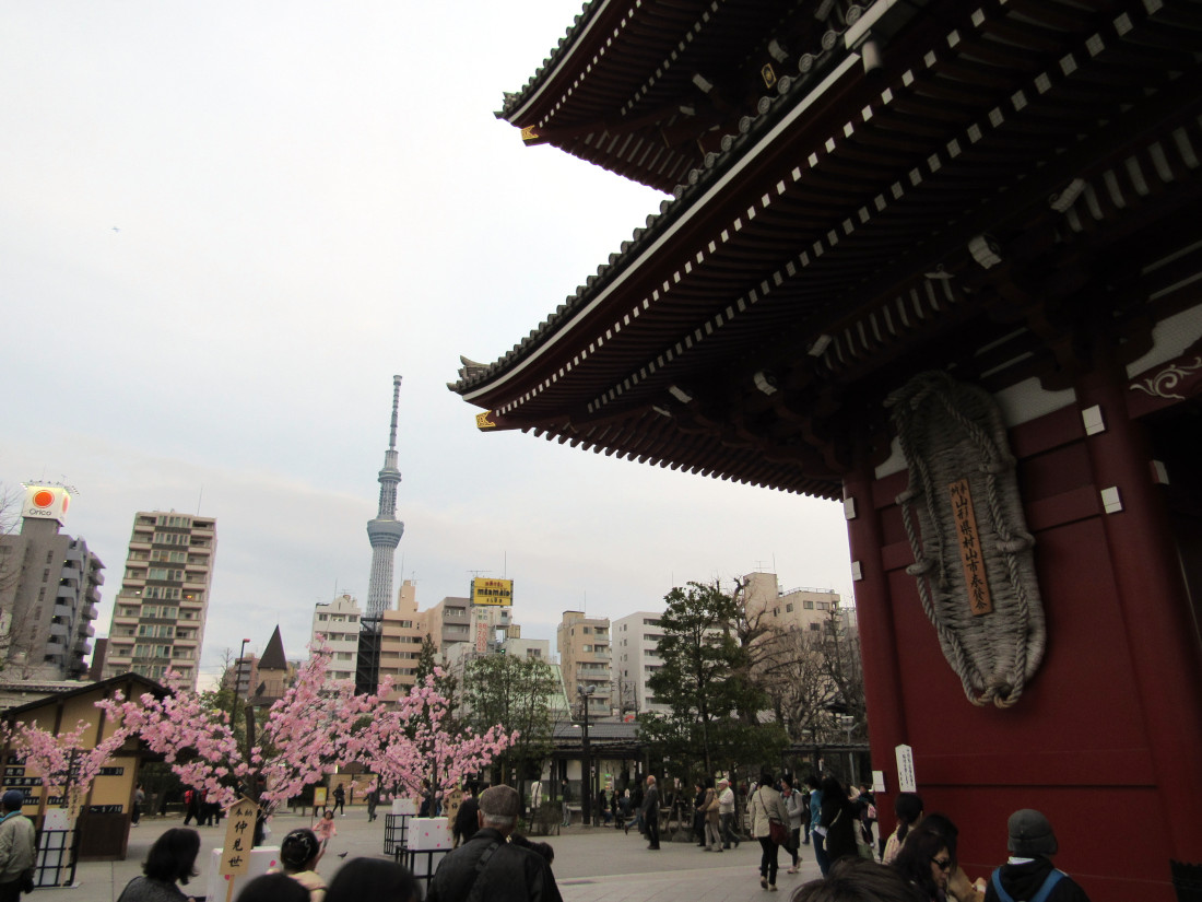 Visiter Tokyo en famille