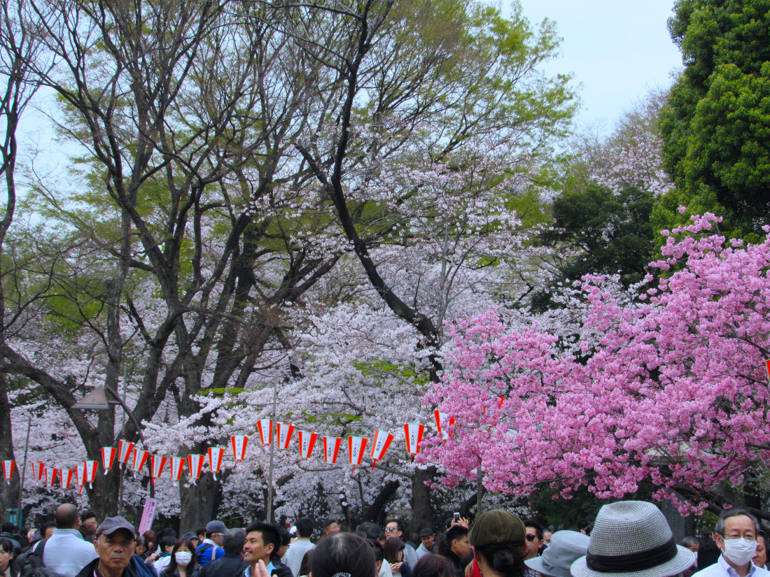 Visiter Tokyo en famille