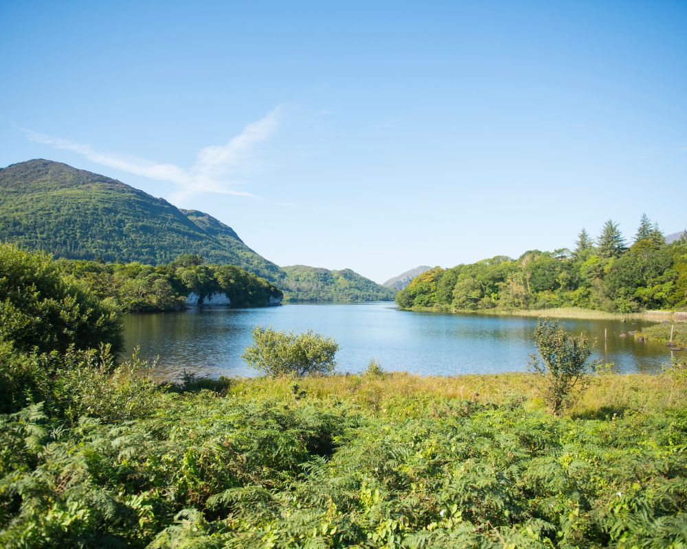 Killarney National Park irlande en famille