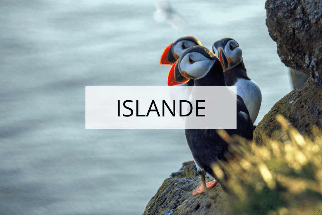 Islande en famille Islande avec des enfants