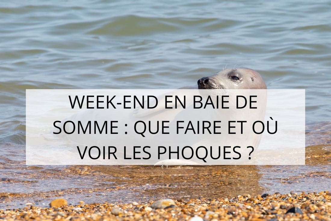 weekend en baie de somme