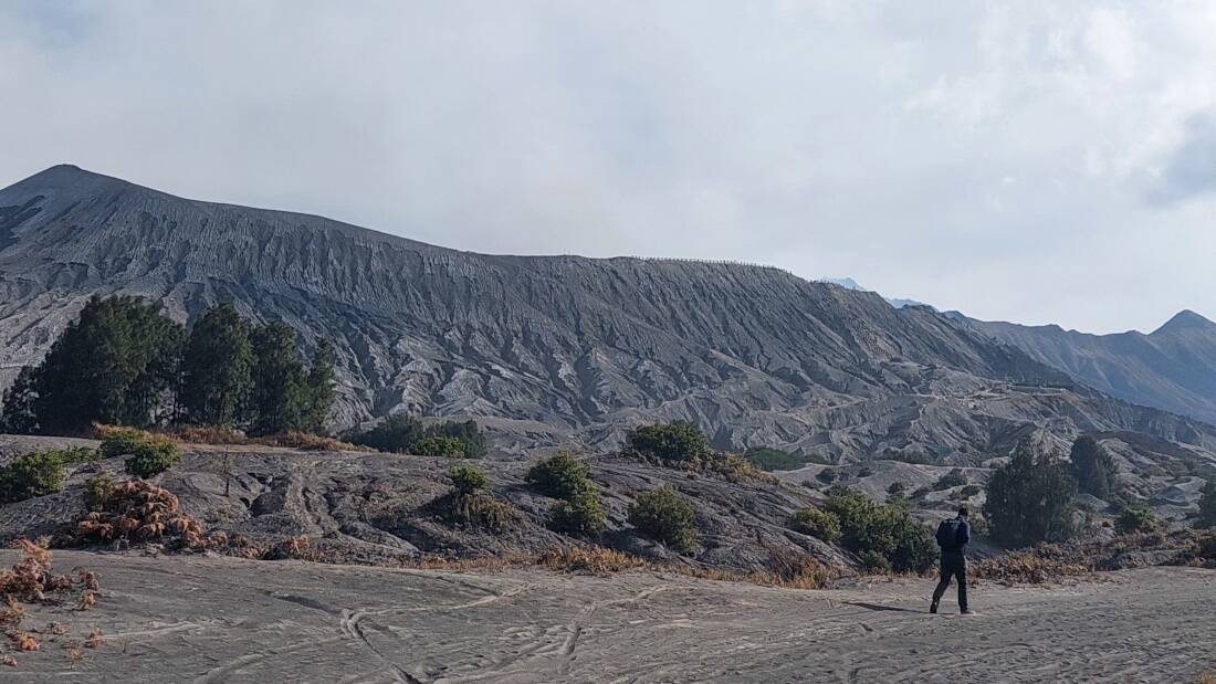 Bromo en famille