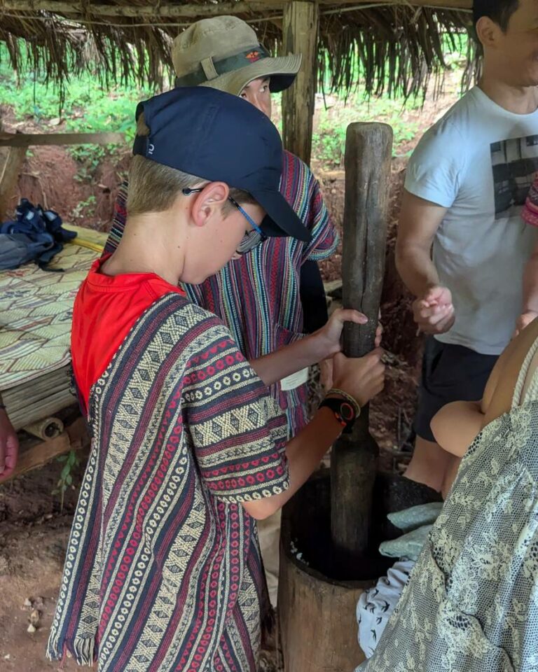 éléphants à chiang mai