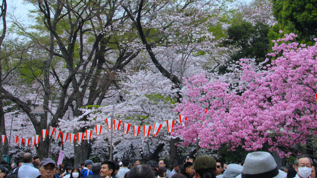 Visiter Tokyo en famille