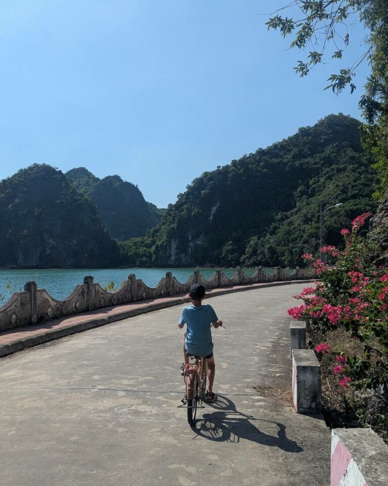 croisière dans la baie d'halong