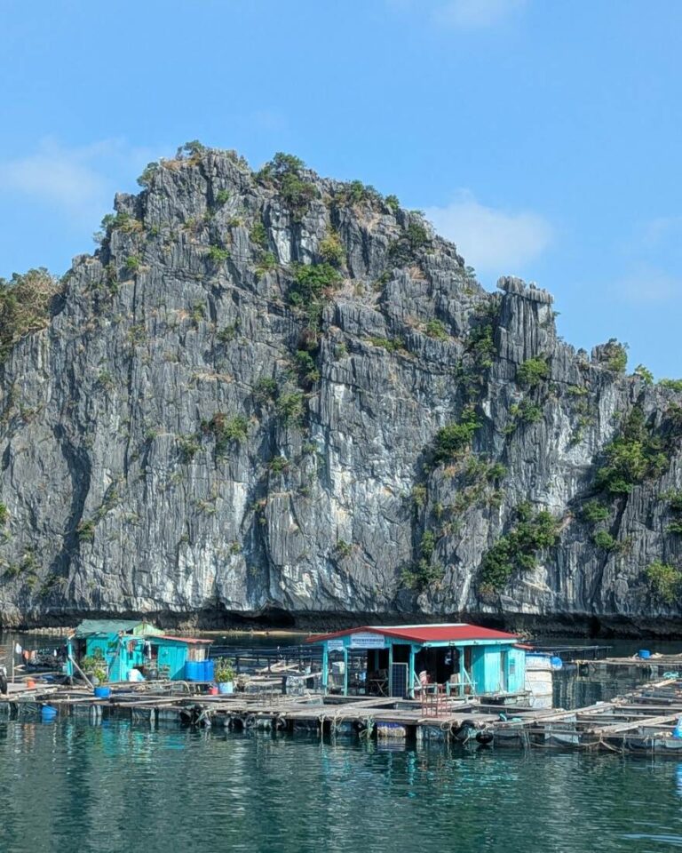 croisière dans la baie d'halong