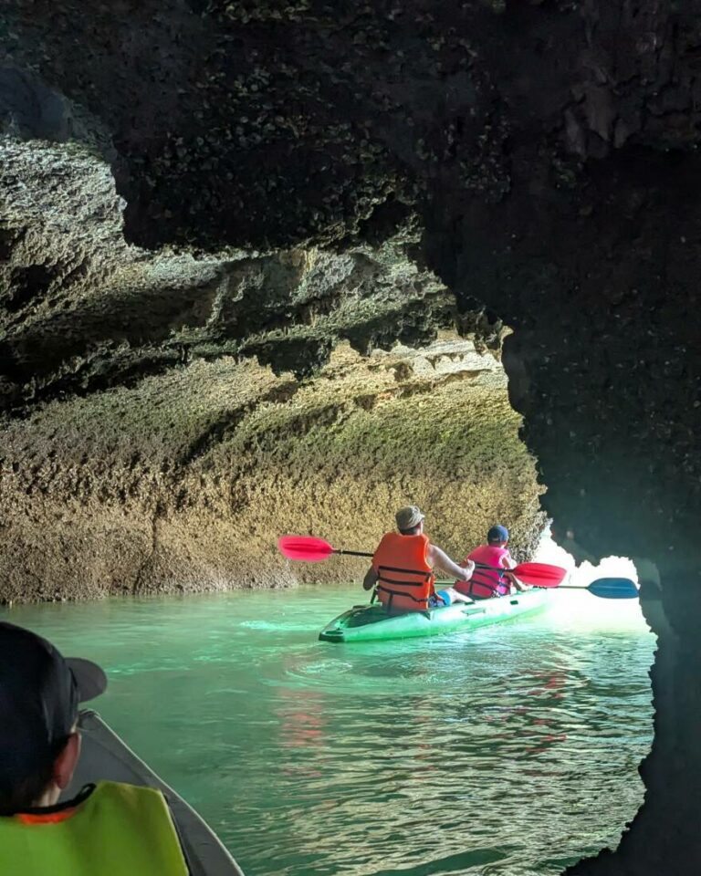 croisière dans la baie d'halong